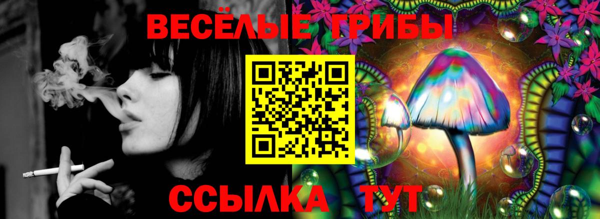 Псилоцибиновые грибы Psilocybine cubensis  Псилоцибиновые грибы мицелий  продажа наркотиков  Ачинск  Вход с VPN 